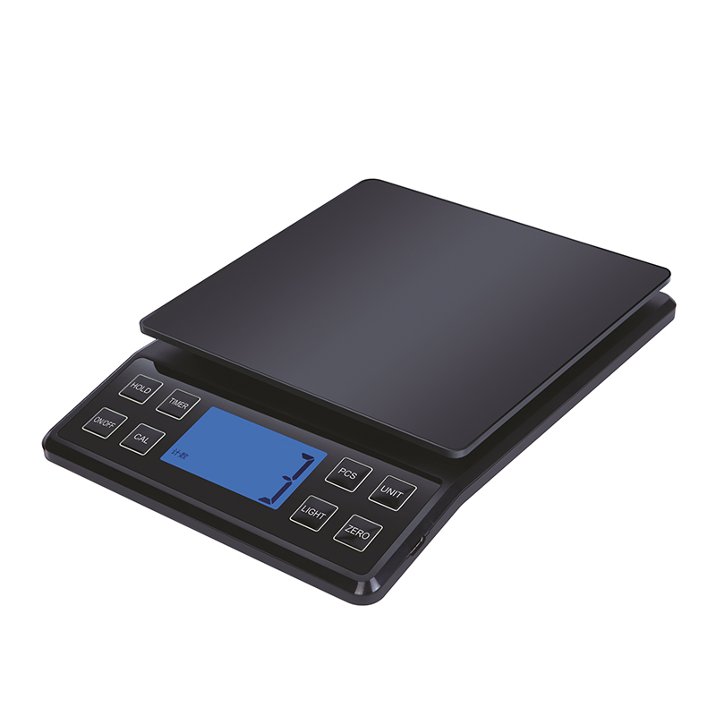 Pure Tent Bilance Cruiserweight bilancia digitale 5.000 g, precisione 0,1 g