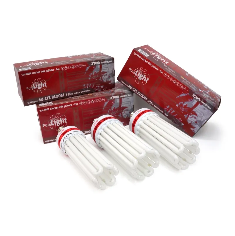 Pure Tent Lampadine Pure Light CFL Bloom lampadina E40 per fioritura