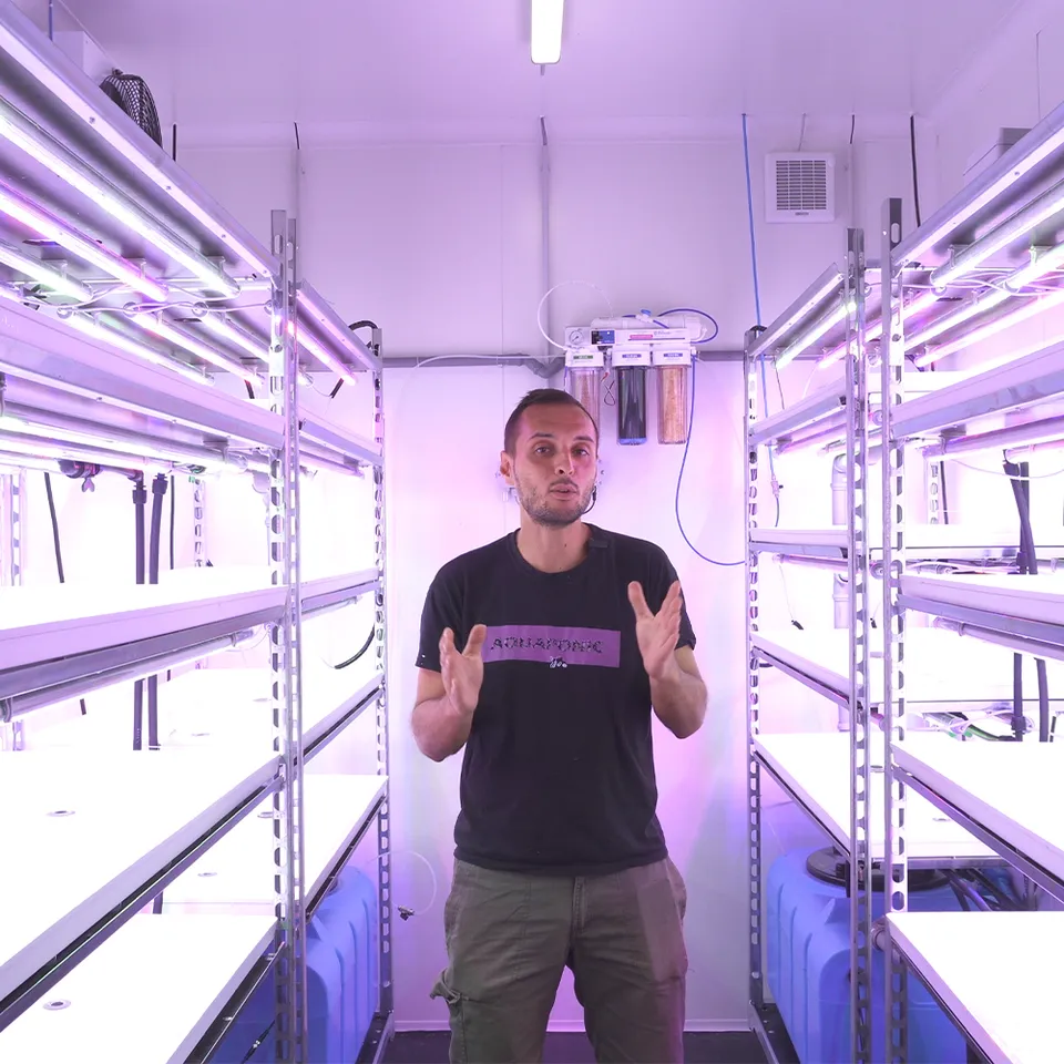 Aquaponic Design Coltivare microgreens Scaffalatura con kit luci LED 4 ripiani