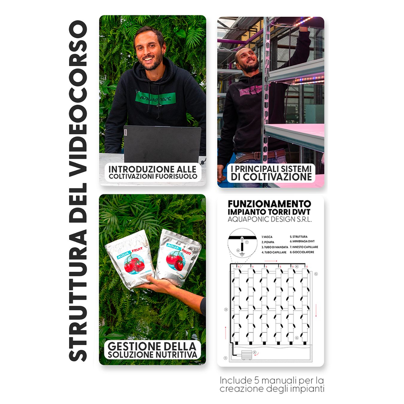 AQUAPONIC DESIGN Kit idroponica Base kit 20 Minibraghe DWT e videocorso