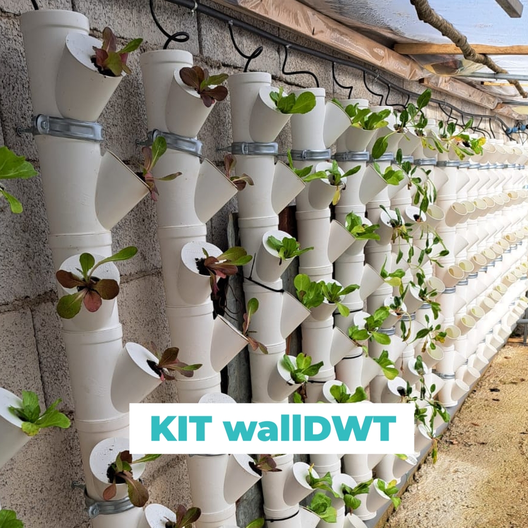 Aquaponic Design Giardini verticali KIT per MURO DWT