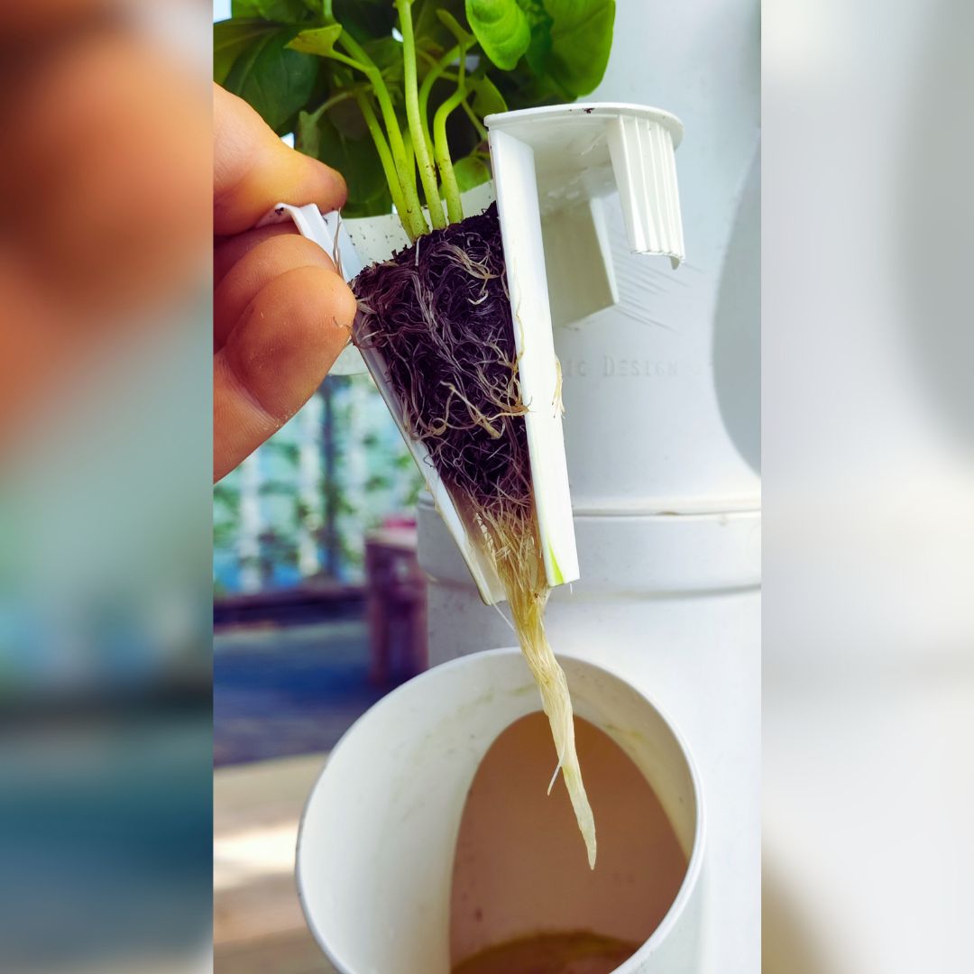 Aquaponic Design Minibraga Vaso universale Deep Water Tower vaso riutilizzabile