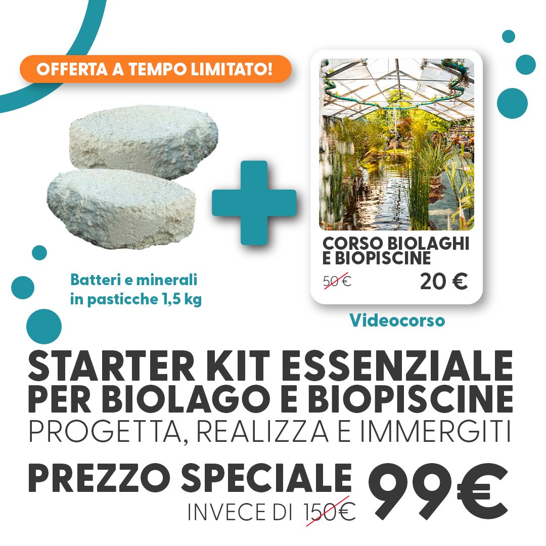 Aquaponic Design Video corsi KIT BATTERI + VIDEOCORSO bioattivatore 100 g