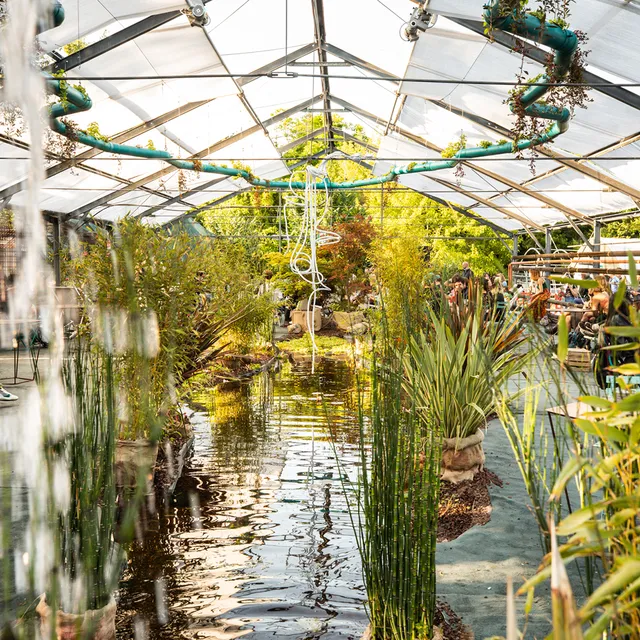 Aquaponic Design Video corsi Come realizzare un biolago – biopiscina naturale