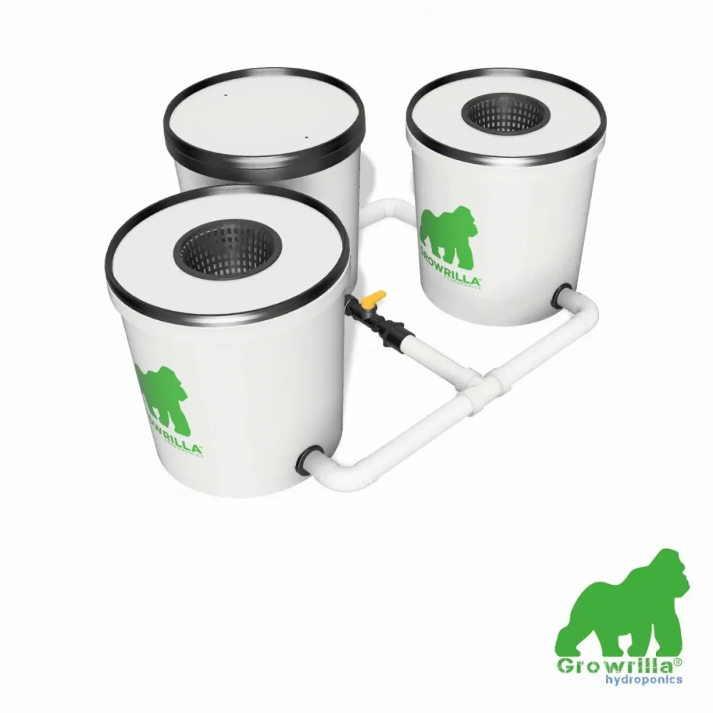 Aquaponic Design RDWC impianto idroponico da 1 a 18 vasi
