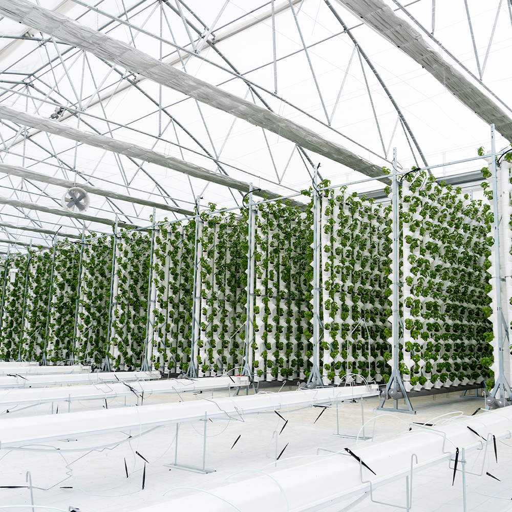 Aquaponic Design Minibraga 2.0 base per torre DWT