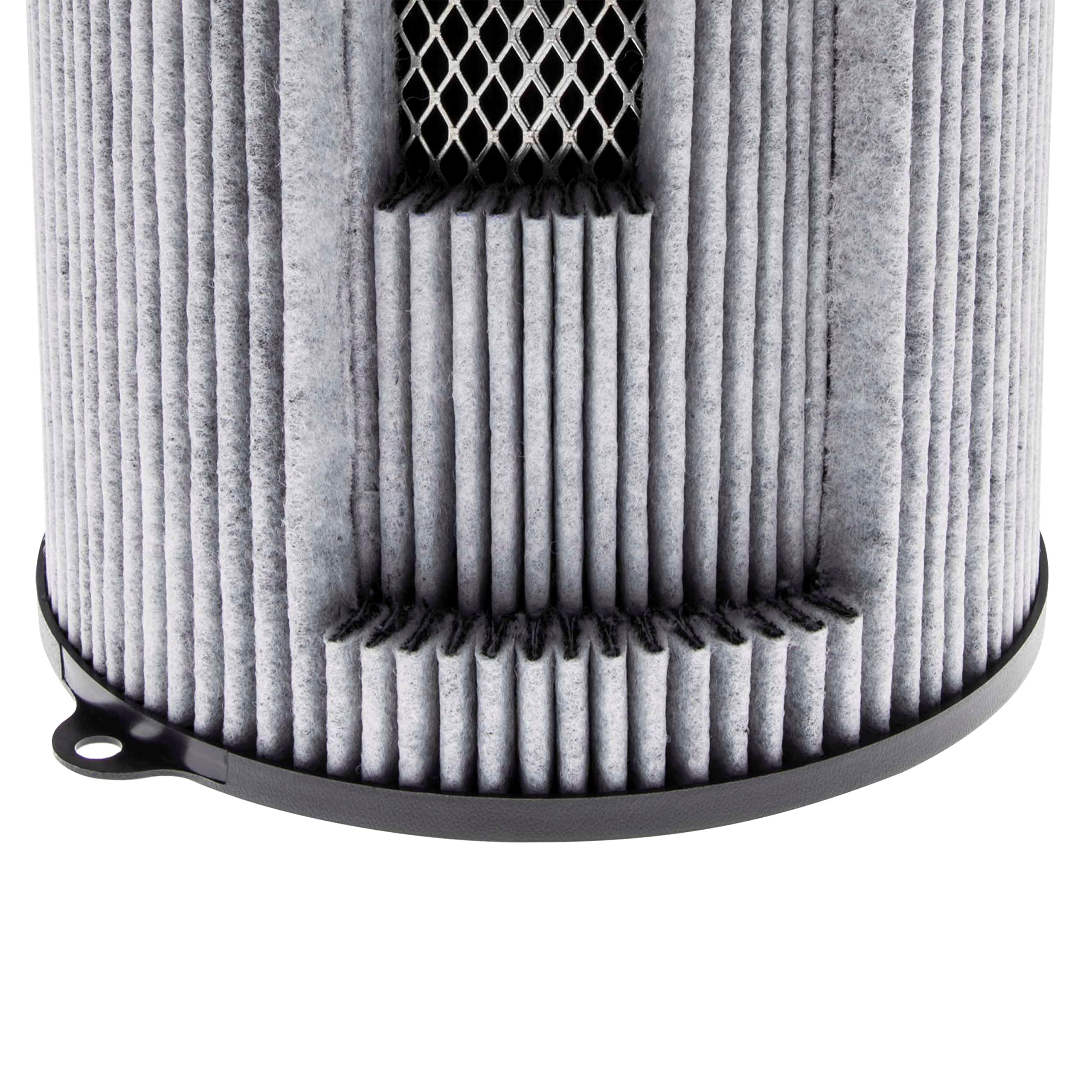 Garden HighPro Proactiv filtro carbone 100 mm 250 m³/h al cocco
