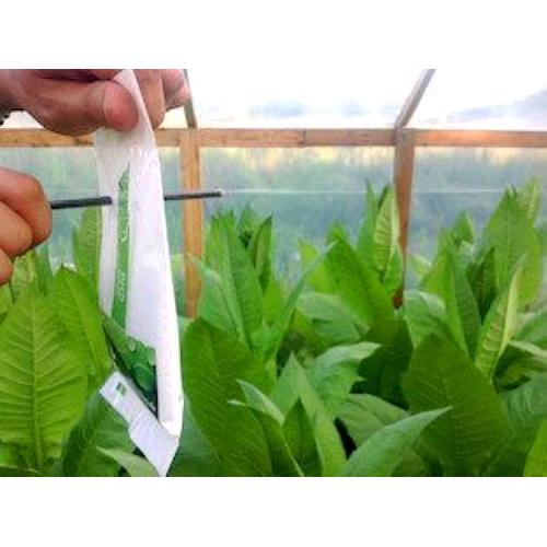 CO2Bag Kit indoor CO2 Bag Busta per il rilascio di CO2 sacchetto CO2