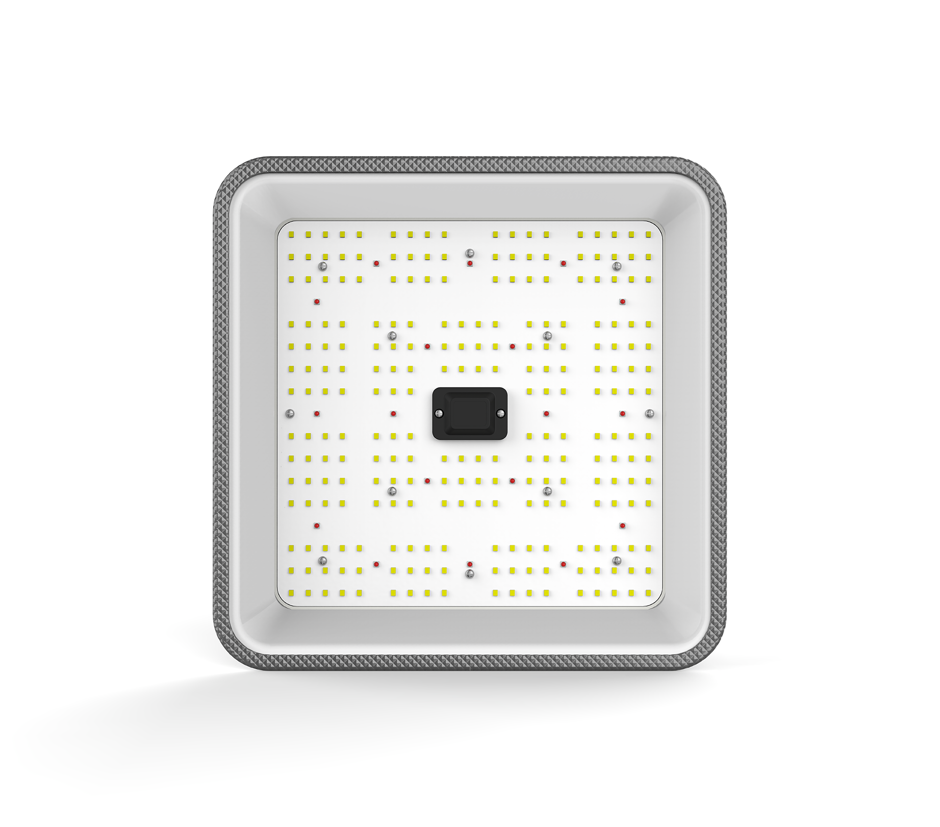 Ortoled Quantum board MINI Quantum Full Cycle 60W Samsung lampada LED