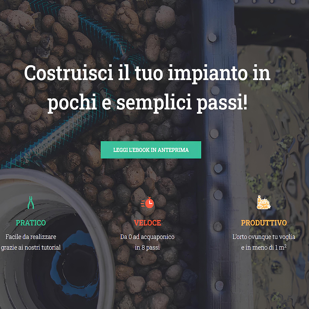 Aquaponic Design Video corsi EBook Diventa un acquaponico guida digitale
