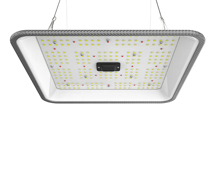 Ortoled Quantum board MINI Quantum Full Cycle 60W Samsung lampada LED