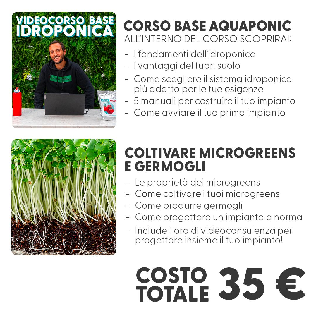 Aquaponic Design Video corsi Pacchetto SCONTATO IDROPONICA + MICROGREENS corsi online