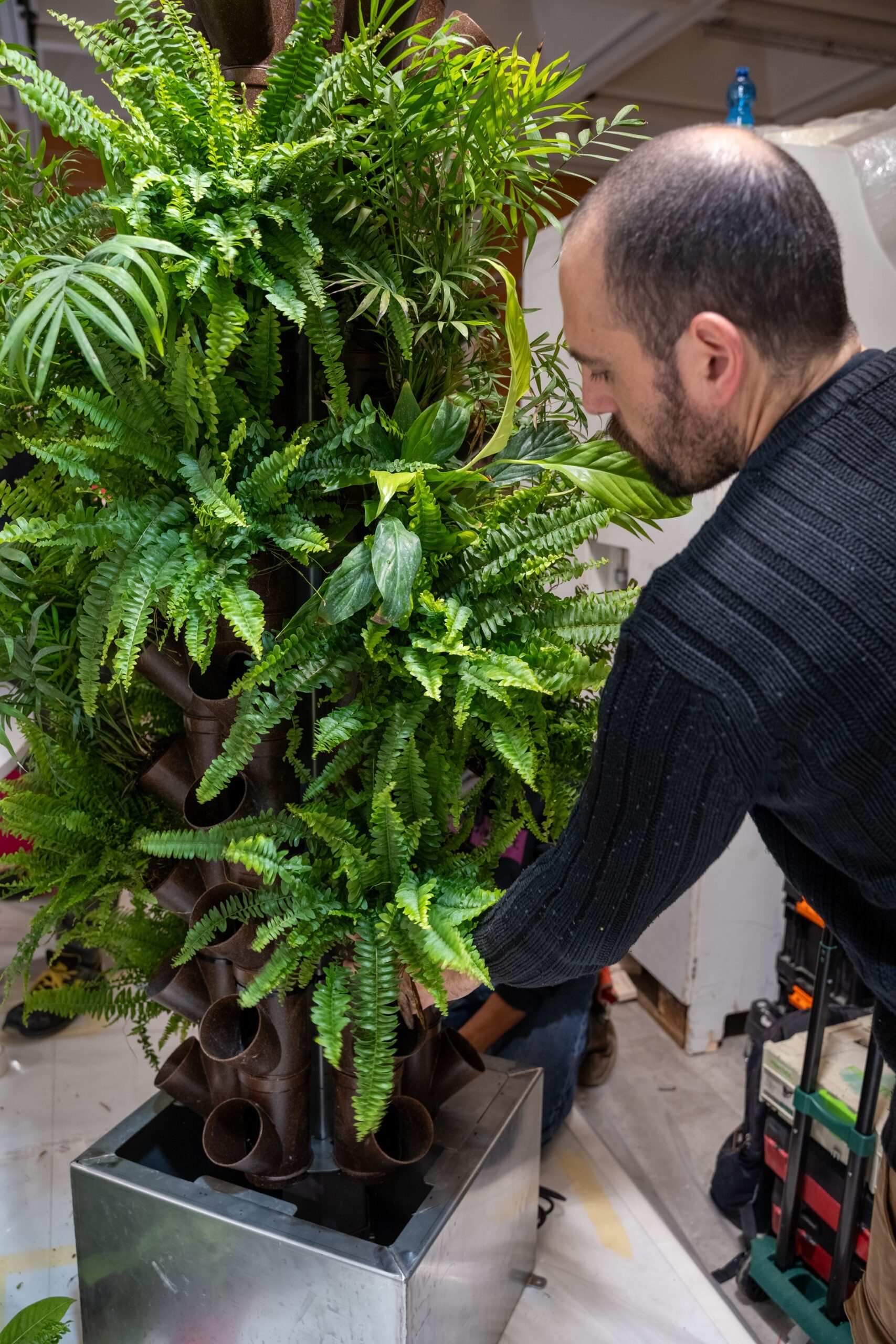 Aquaponic Design Totem DWT Hydroponic tree giardino verticale modulare