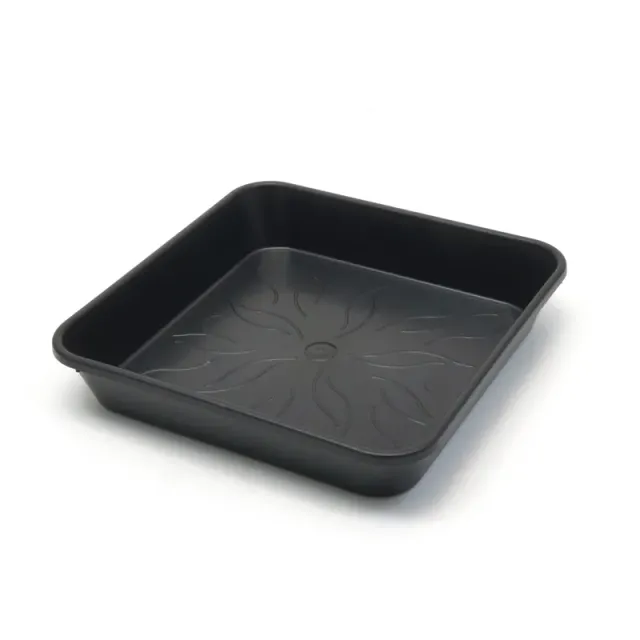 Pure Tent Vasi e vaschette Piastra quadrata di fabbrica pura piatto per vasi